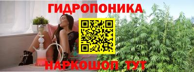 спайс Будённовск