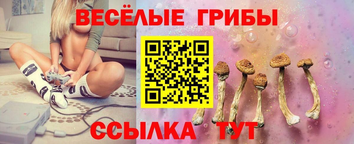 Галлюциногенные грибы Cubensis  Псилоцибиновые грибы Magic Shrooms  Елизово  Вход с VPN 